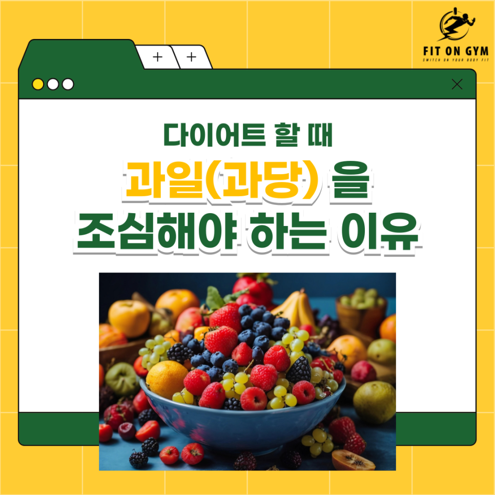 핏온짐 이미지