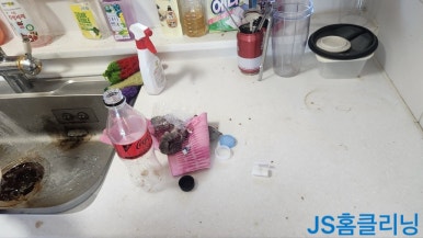 JS마린 이미지