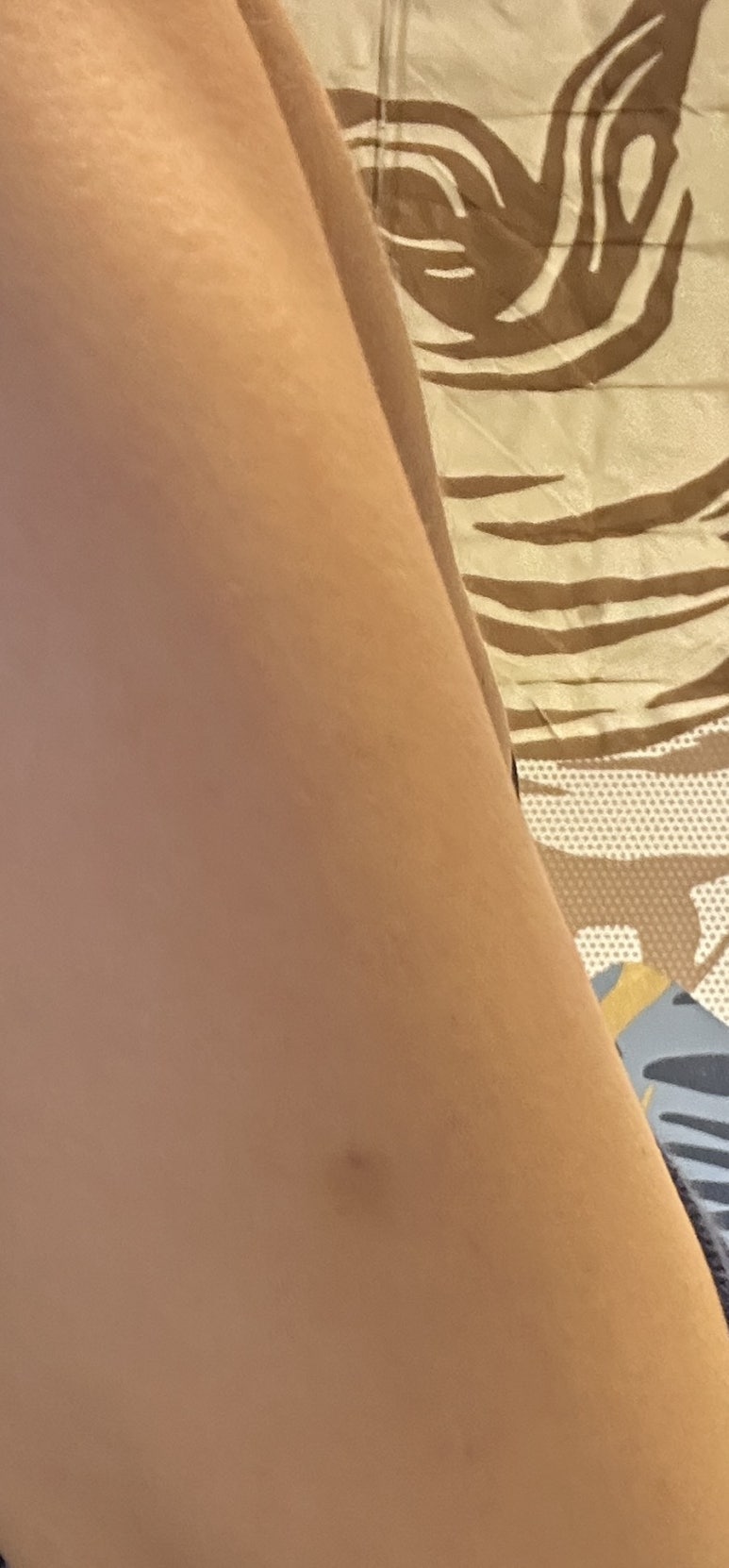 벨다드의원 이미지