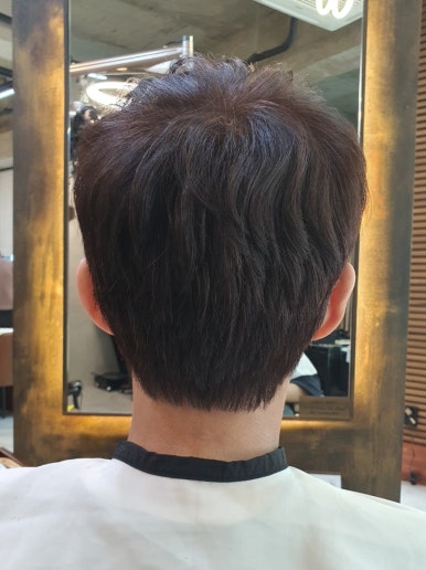 트라움헤어 이미지