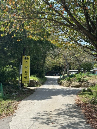 수덕주유소 이미지