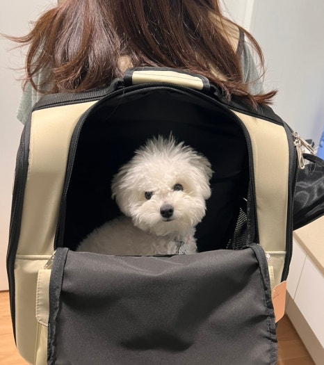 모드니세탁 이미지