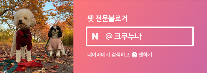 네파문정 이미지