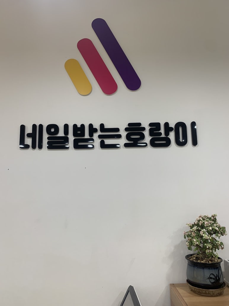 네일받는호랑이 이미지