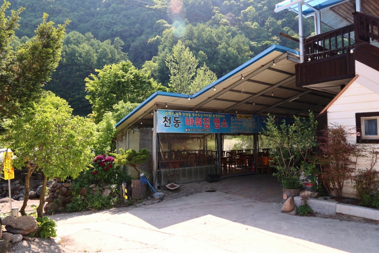 바위집염소 이미지