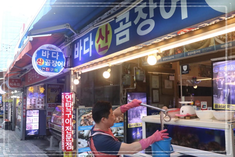 바다산곰장어 이미지