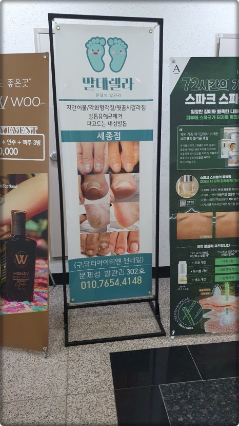 발데렐라 이미지