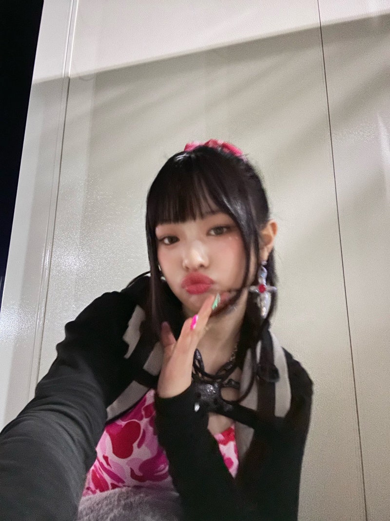 하니하우스 이미지
