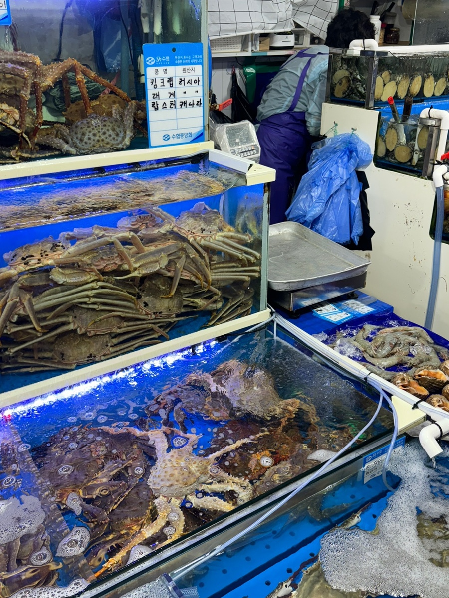 진주상회 이미지