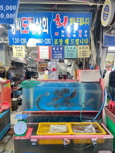 오늘도매횟집 이미지
