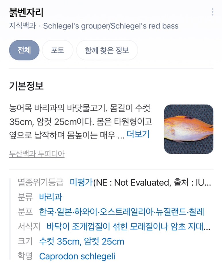 이마와루 이미지
