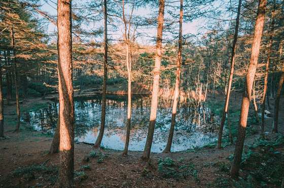 연못155 이미지