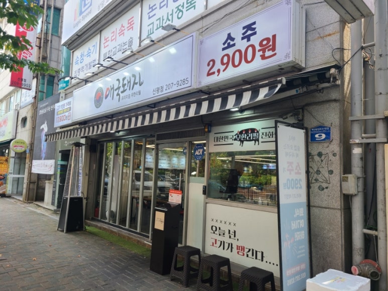 애국돼지 이미지