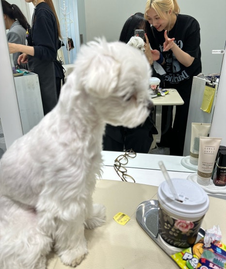 프리티살롱청담 이미지