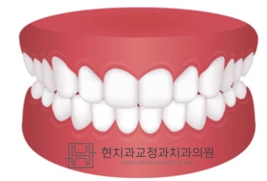 현치과교정과치과의원 이미지