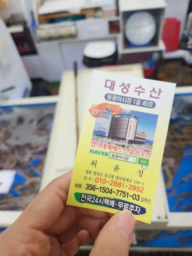 동광해상풍력 이미지