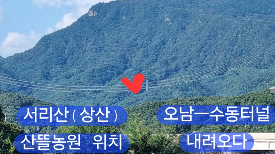 이진농원 이미지