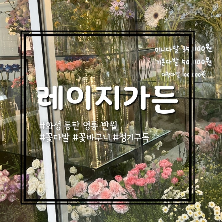 레이지가든 이미지