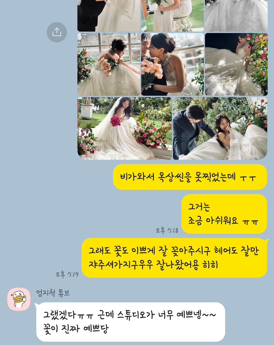 이벨라플로 이미지