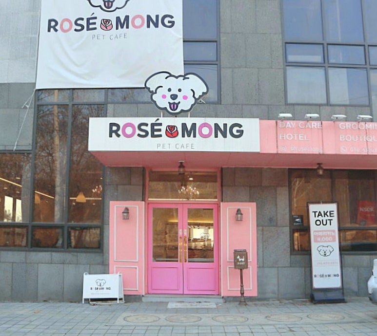 로제몽 이미지