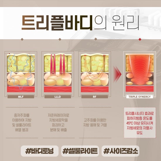 트리플핏 이미지