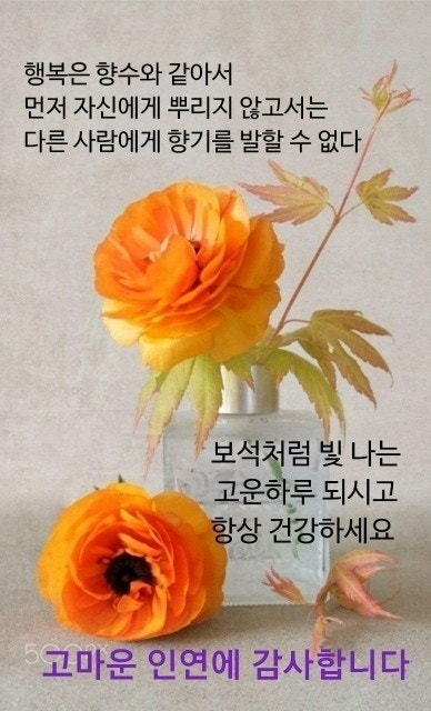즐거운하루 이미지