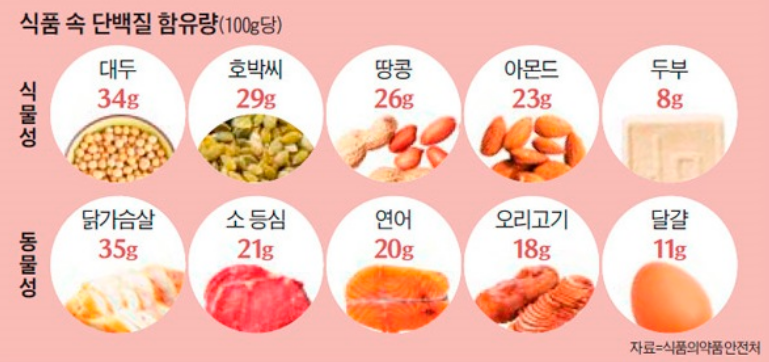 바디케이PT 이미지