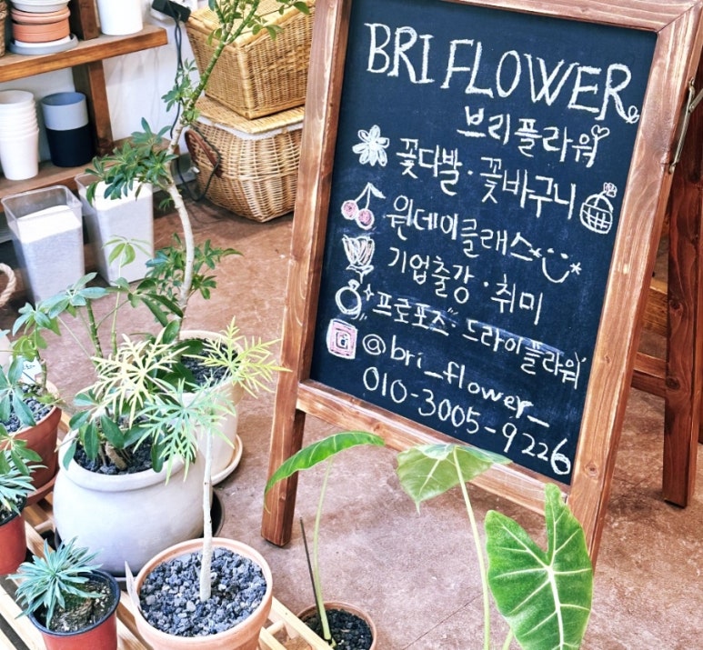브리플라워 이미지