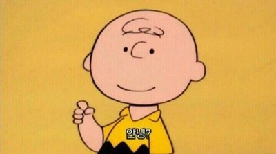 게스하우스 이미지