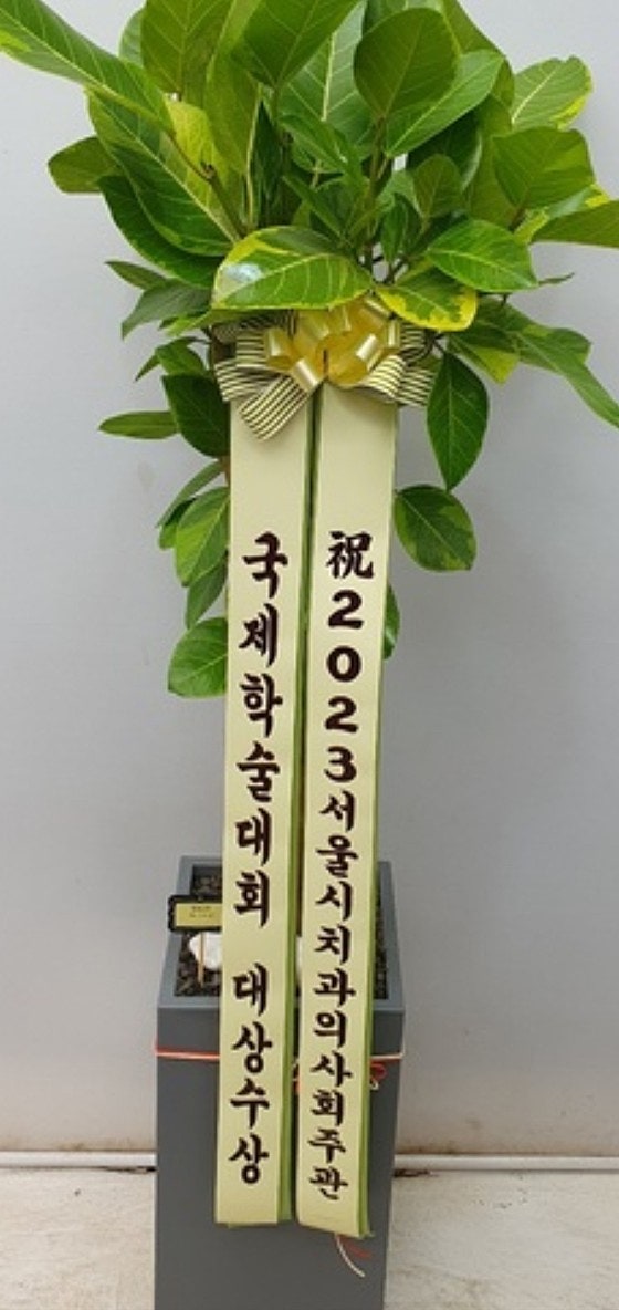 덴토피아치과의원 이미지