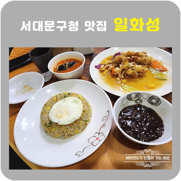 일화성 이미지