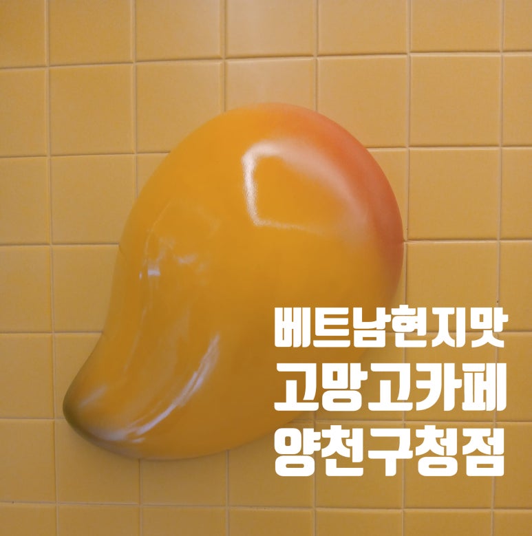 고망고 양천구청점 이미지