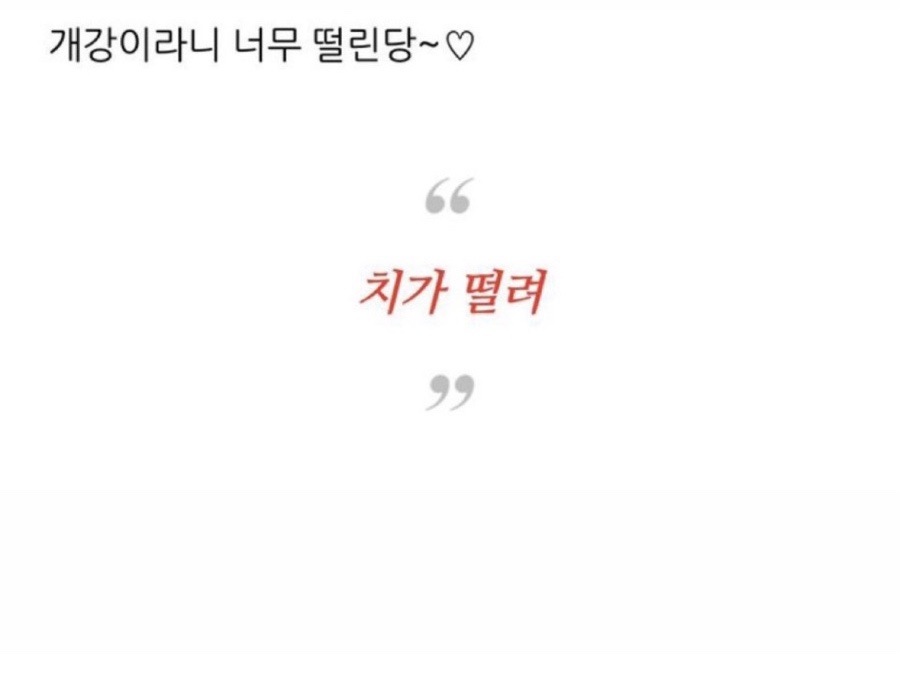 디오그린 이미지