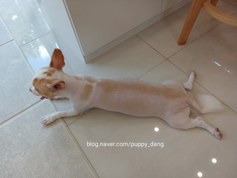 시월호텔 이미지