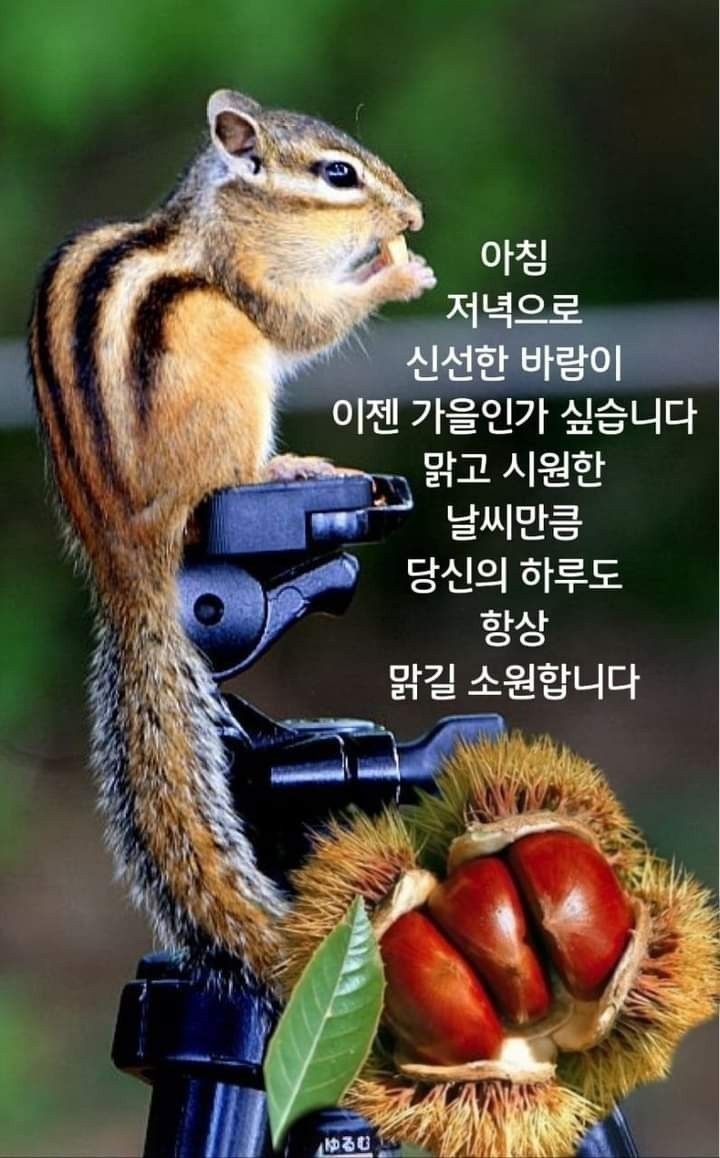 신*선 이미지