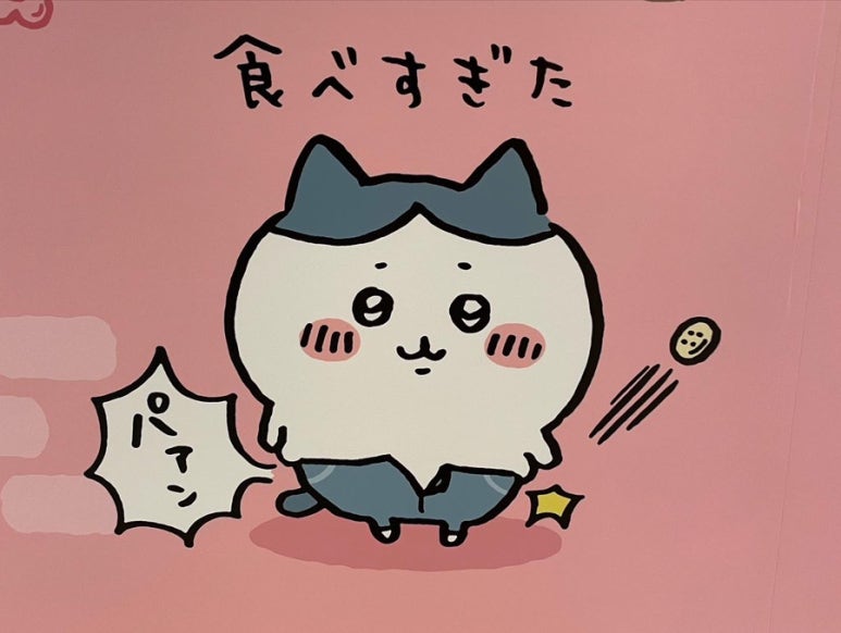 히사시부리 이미지