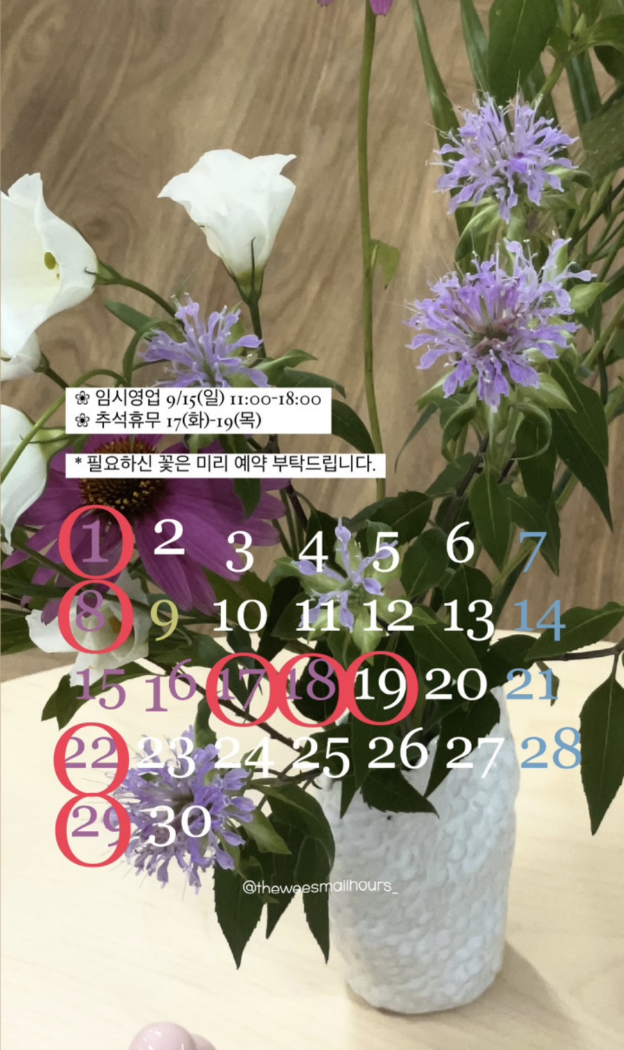 풀풀플라워 이미지