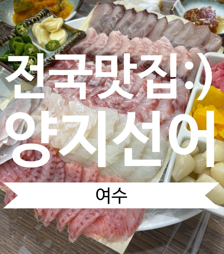 선어야술이야 이미지