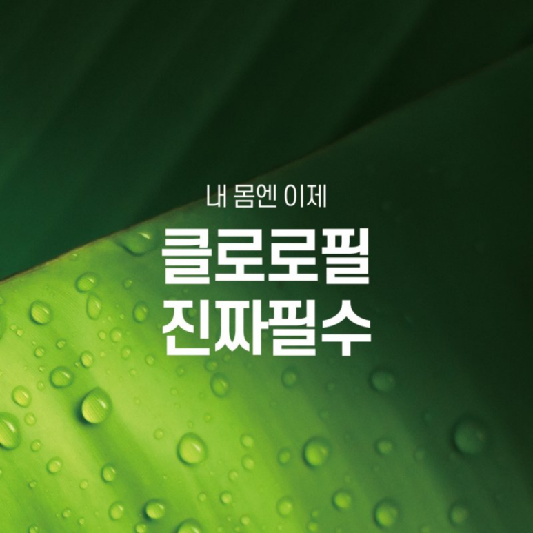 트루그린 이미지