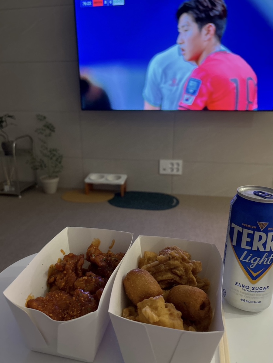 채채슈가 이미지
