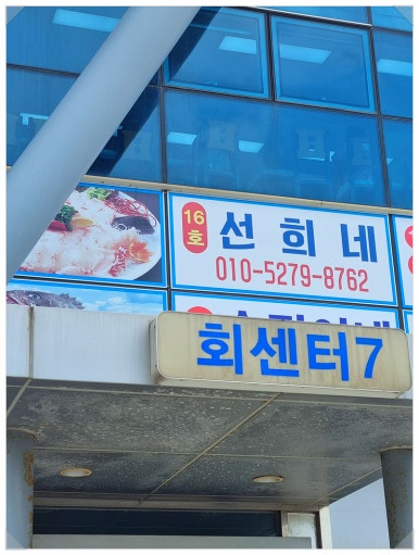 선희네 이미지