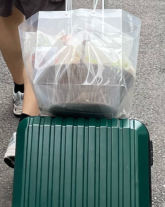 마땀 이미지