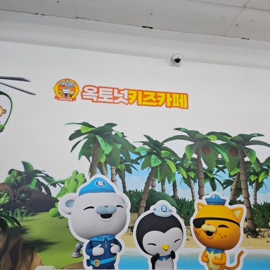 옥토넛키즈카페 춘천점 이미지