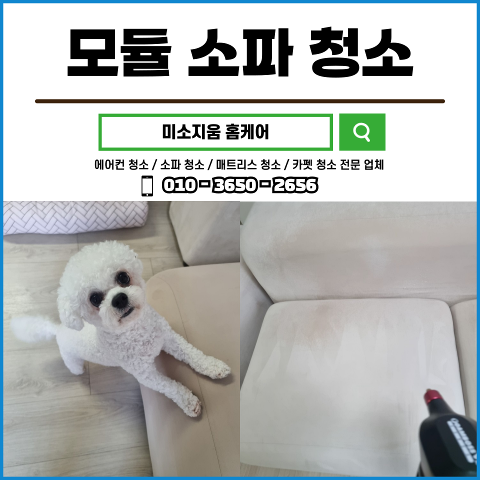 미소지움세탁 이미지