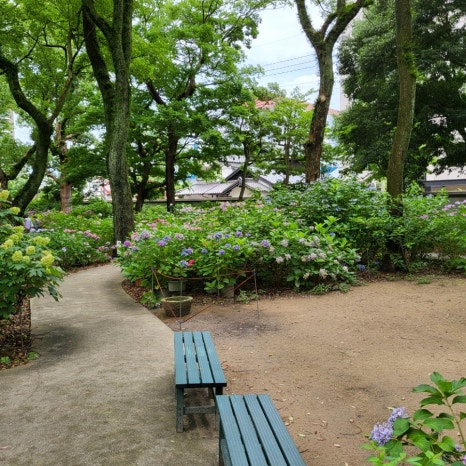 정*원 이미지