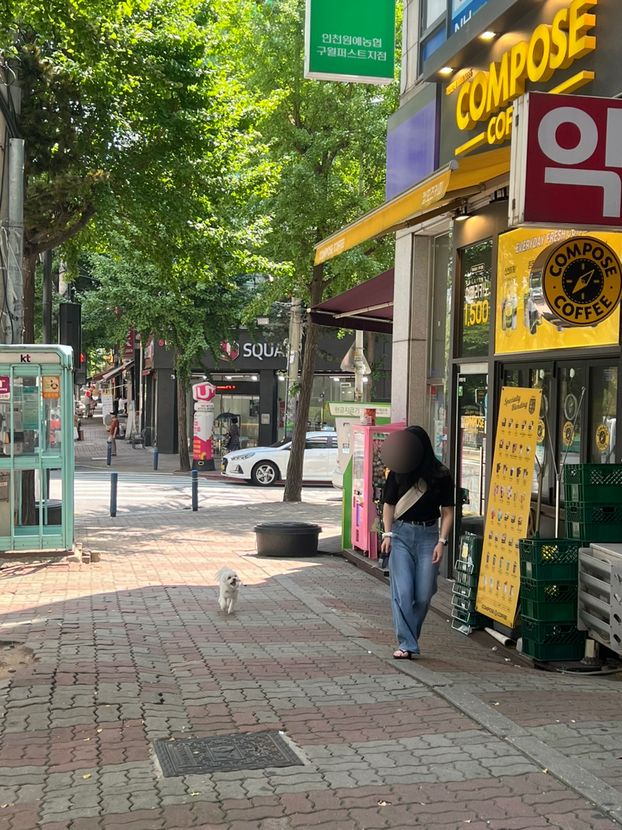 고려산 힐링캠프 이미지