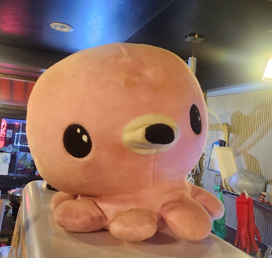 타코랜드타코야끼 이미지
