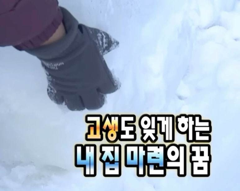 마이백 이미지