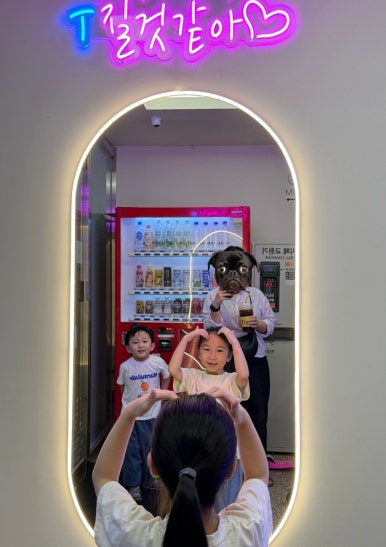 롤킹롤러스케이트 이미지