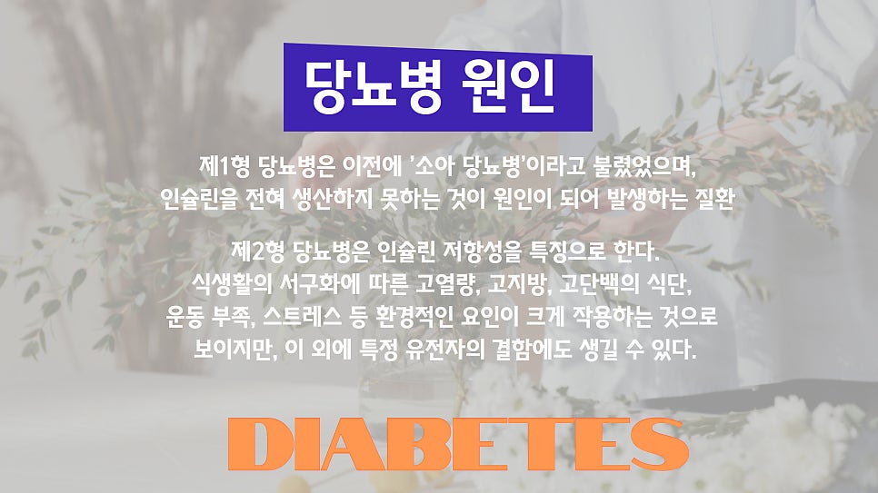 #혈당관리 #추석선물대첩 바나바잎 플러스 크롬으로 식후 혈당을 케어해요! 이미지 11